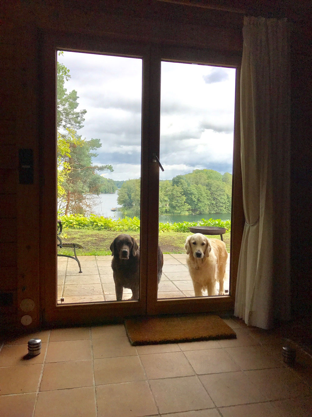 ferienhaus norddeich mit hund eingezäunt