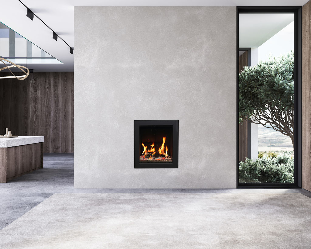 Cheminée feu bois insert