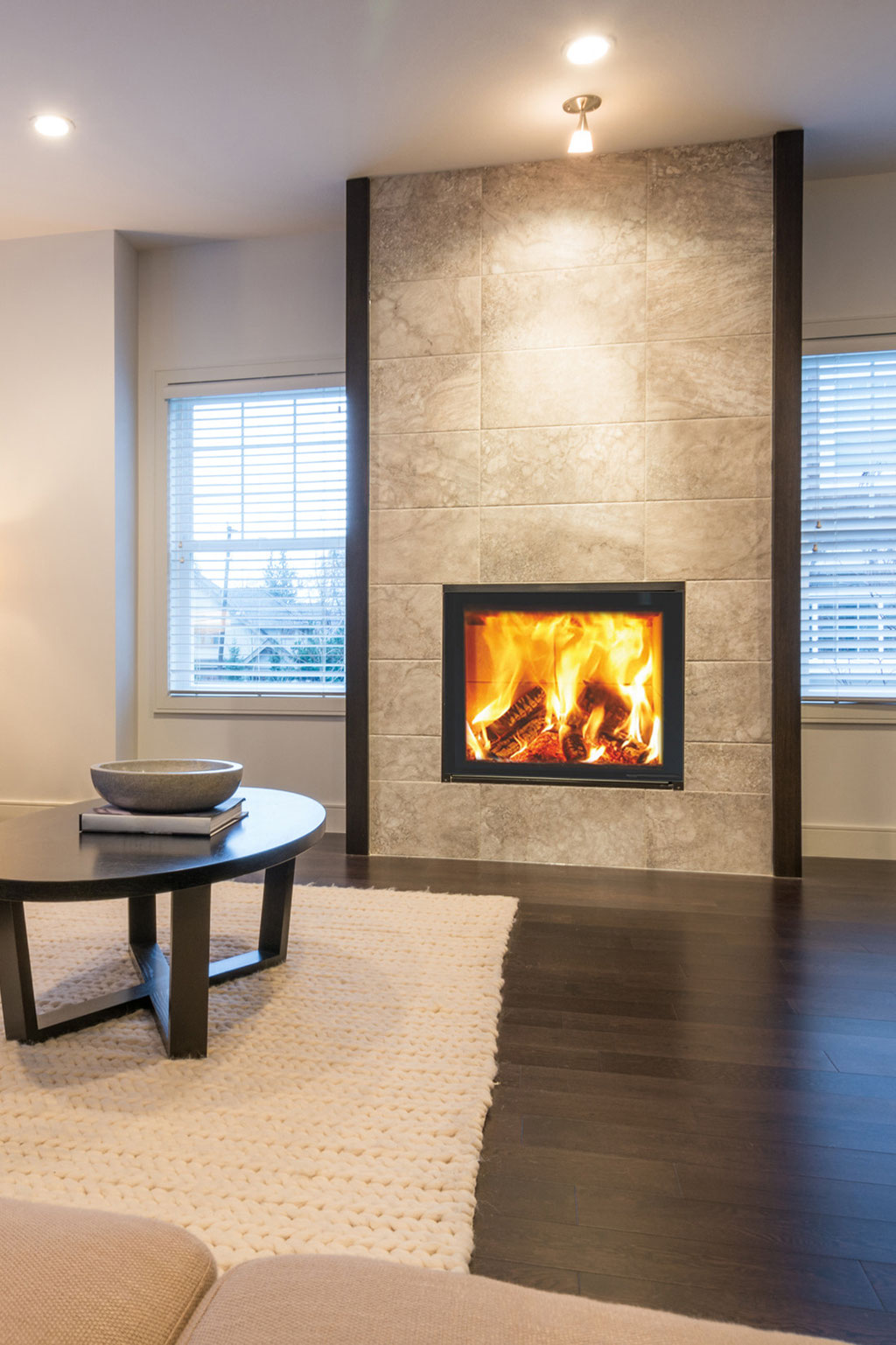 Cheminée feu bois insert