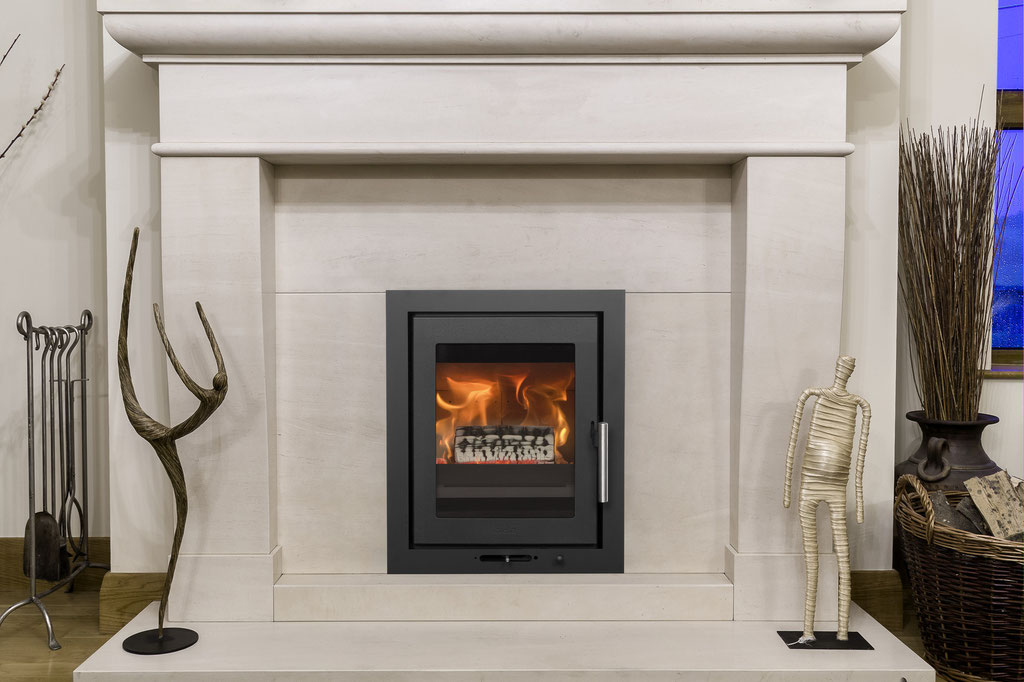 Cheminée feu bois insert