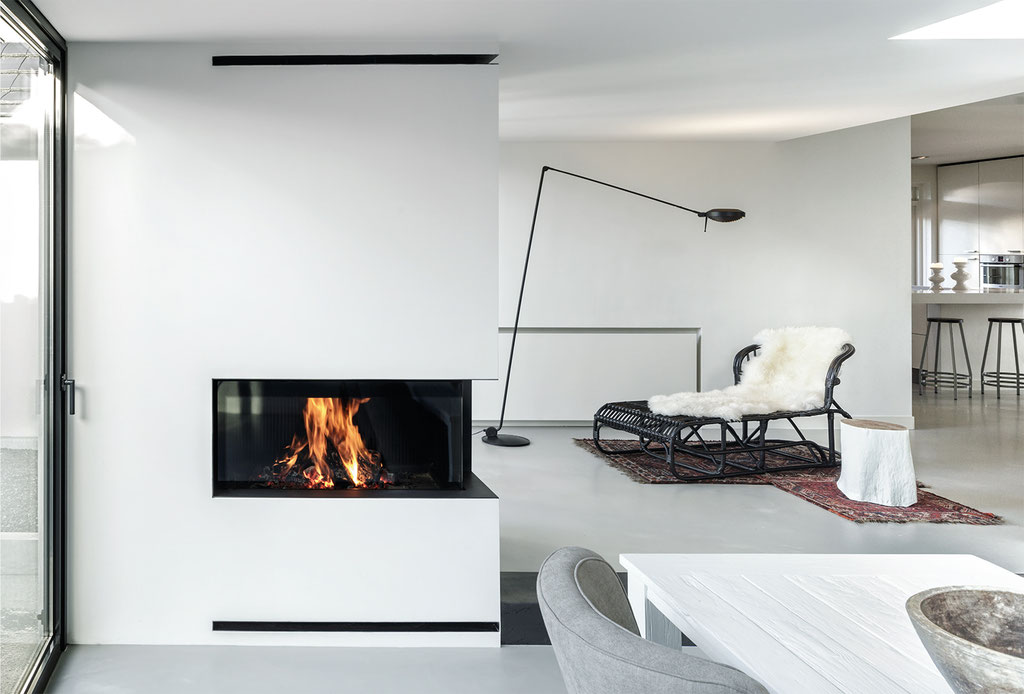 Cheminée feu bois foyer fermé 2 vitres