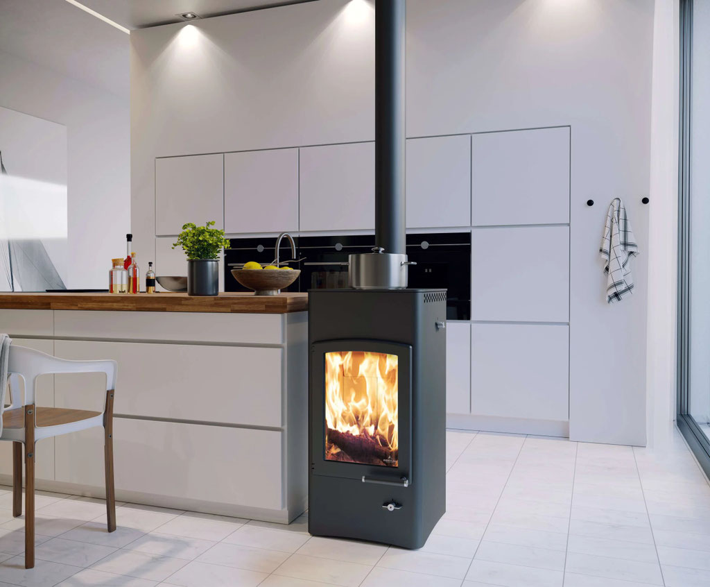 Poêle à bois chauffe plat feu