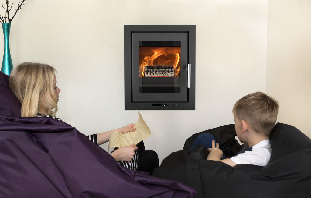 Cheminée feu bois insert