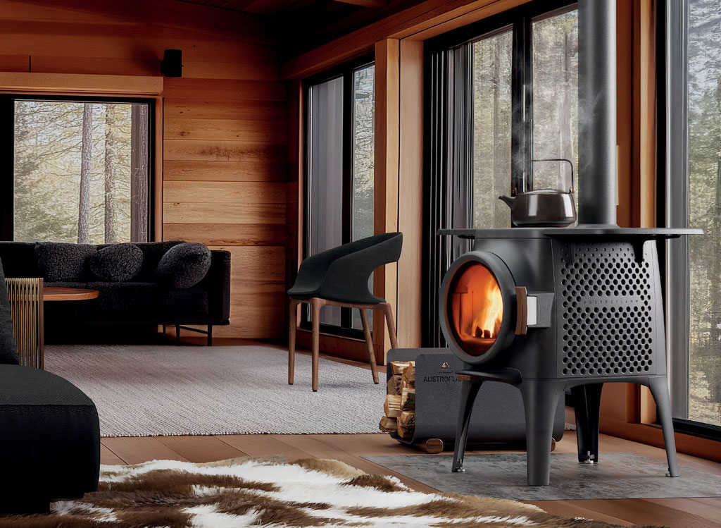 Poêle à bois fonte feu
