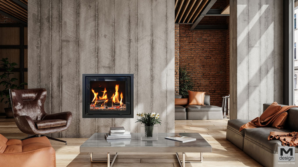 Cheminée feu bois insert