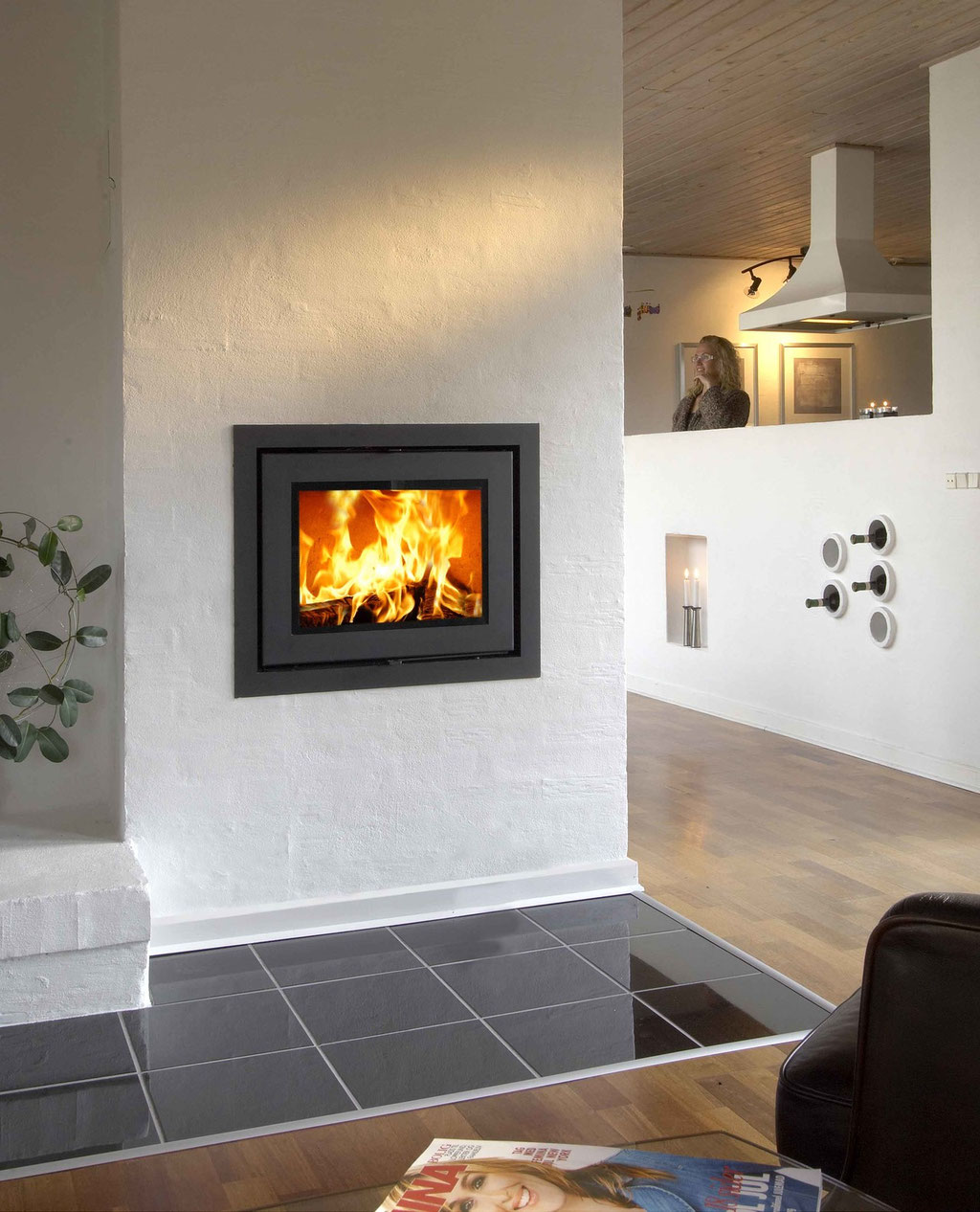 Cheminée feu bois insert