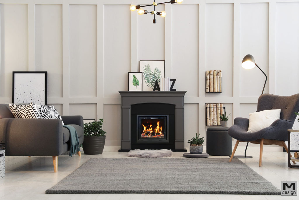 Cheminée feu bois insert