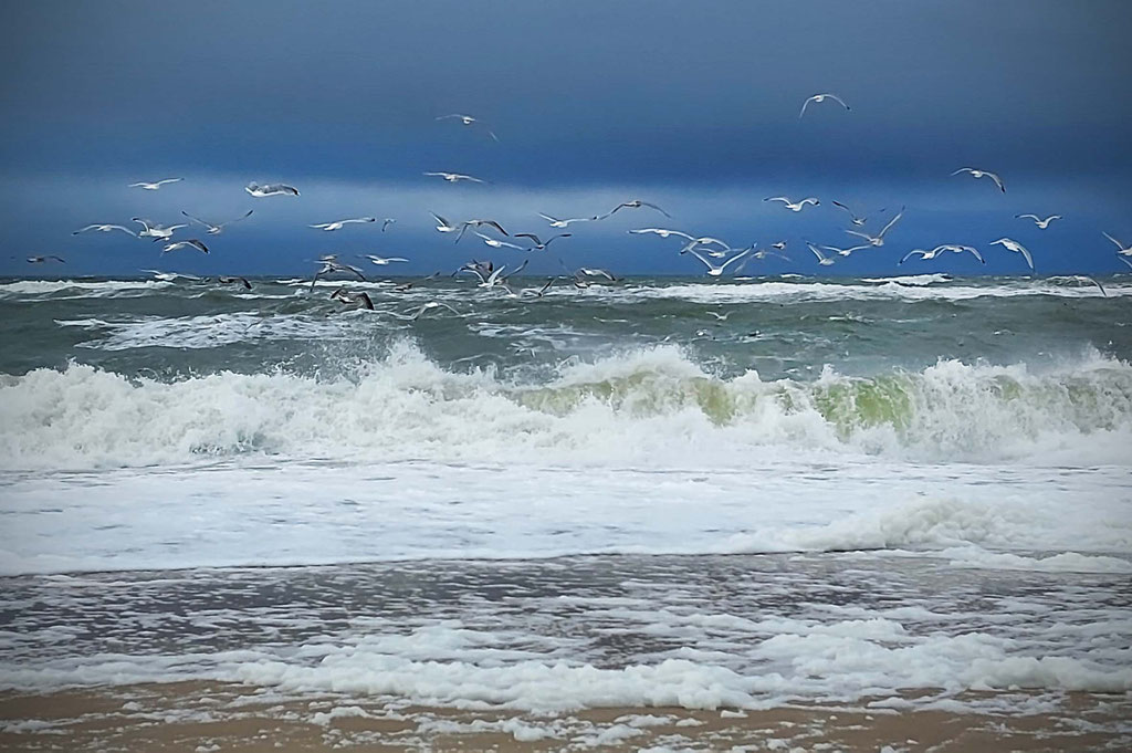 Weihnachten auf Sylt / Christmas on Sylt