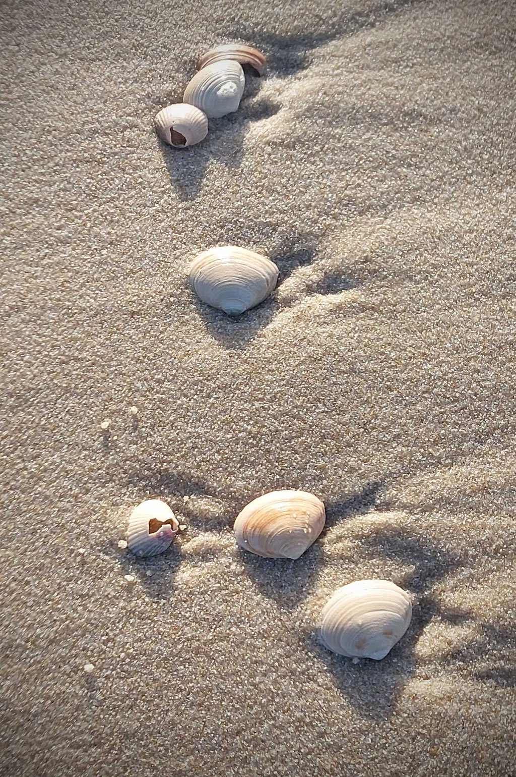 Weihnachten auf Sylt / Christmas on Sylt