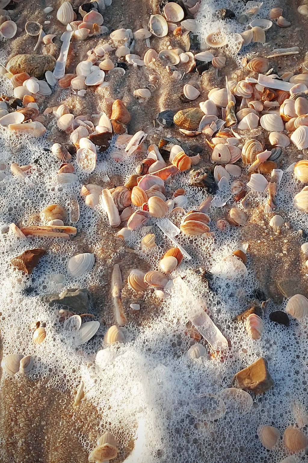 Weihnachten auf Sylt / Christmas on Sylt