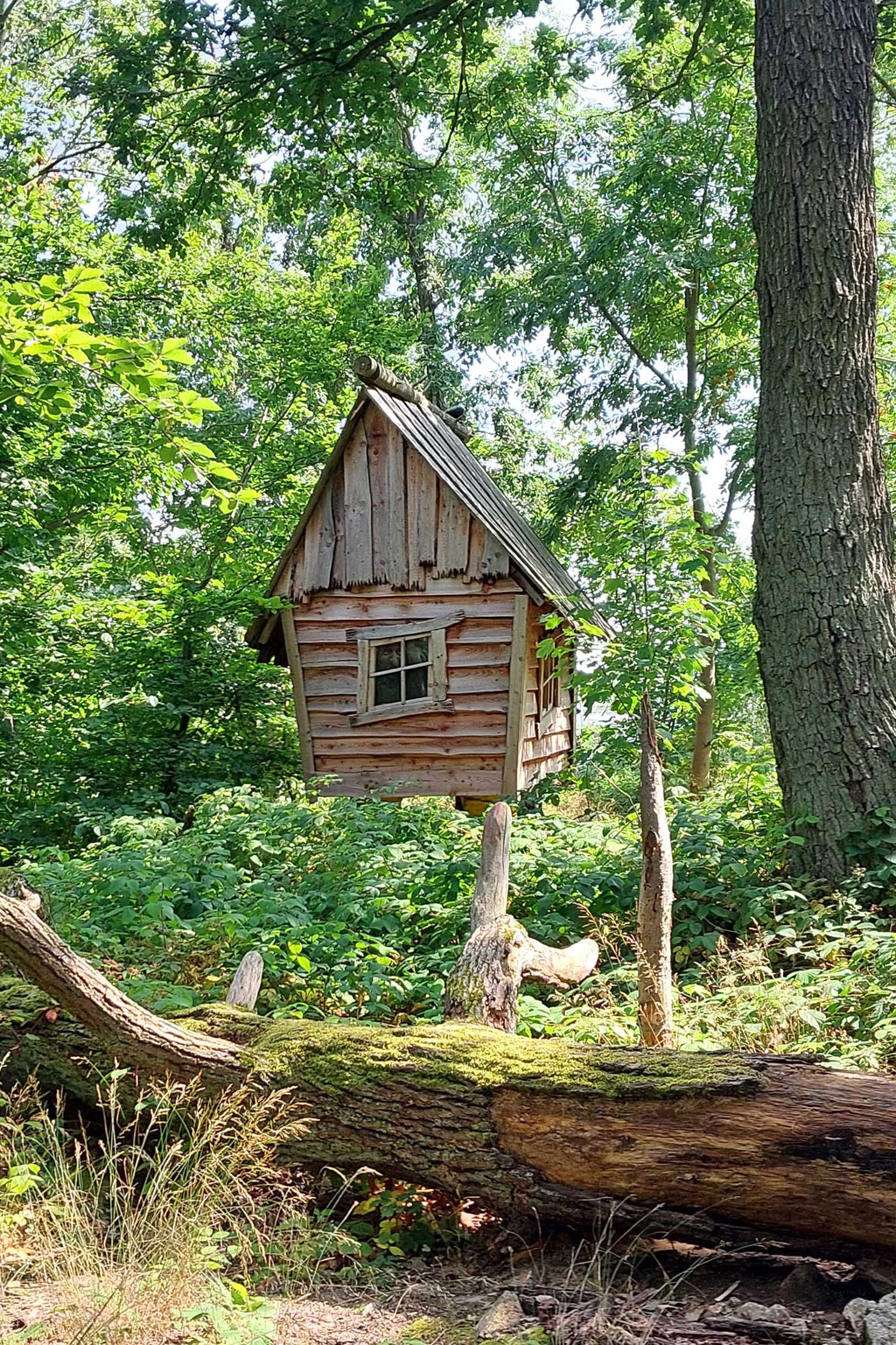 Haus der Baba Jaga