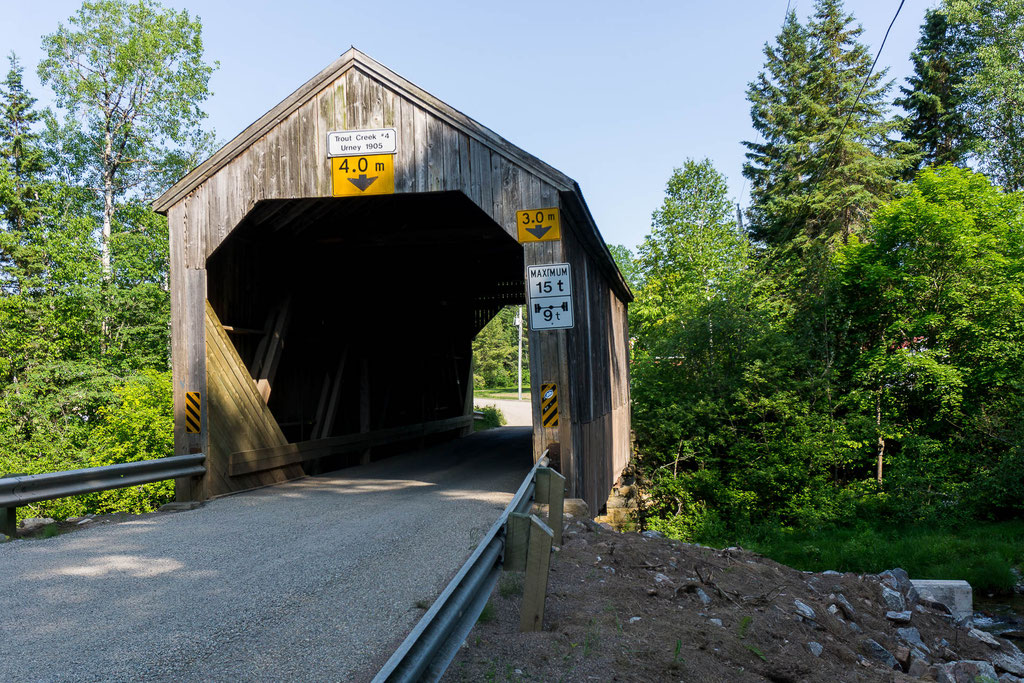 Pont de Trout Creek, NB (1905 et 66 pieds)