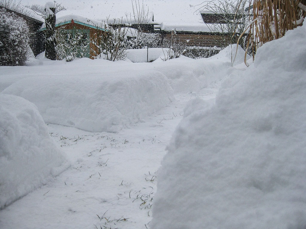 Der Garten im Winter