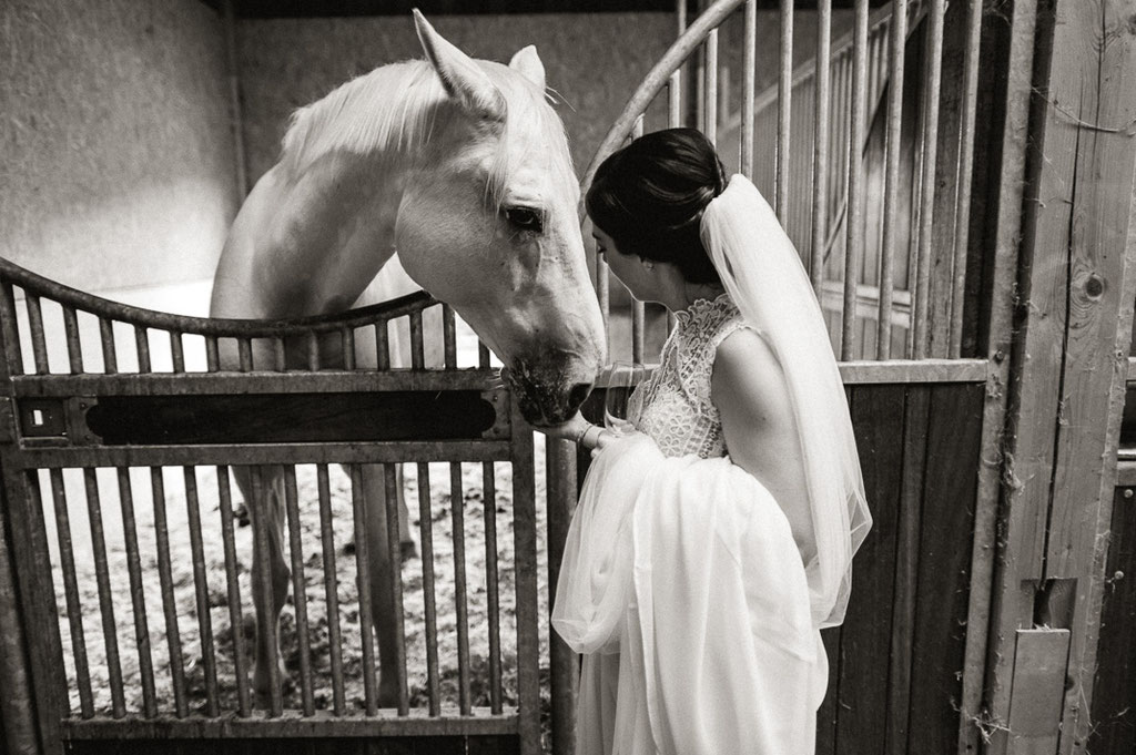 Die Braut streichelt ein weißes Pferd.