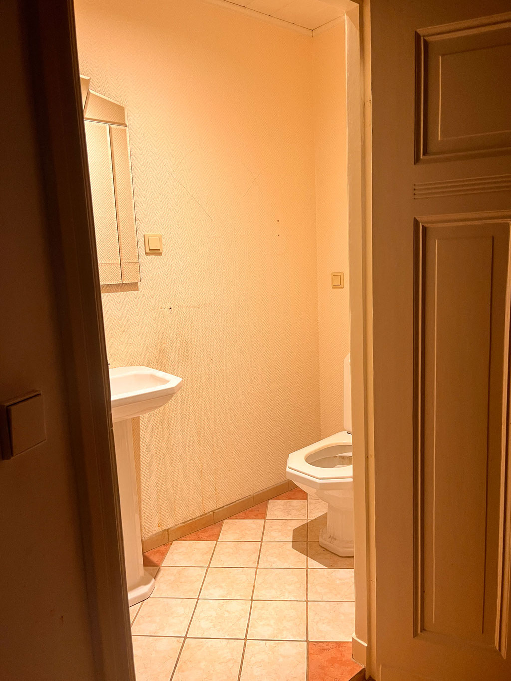 Gästetoilette vorher