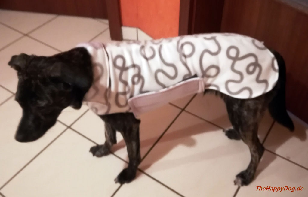 Probemantel Maßanfertigung - Unsere Hannah,  Hundemantel nach Maß