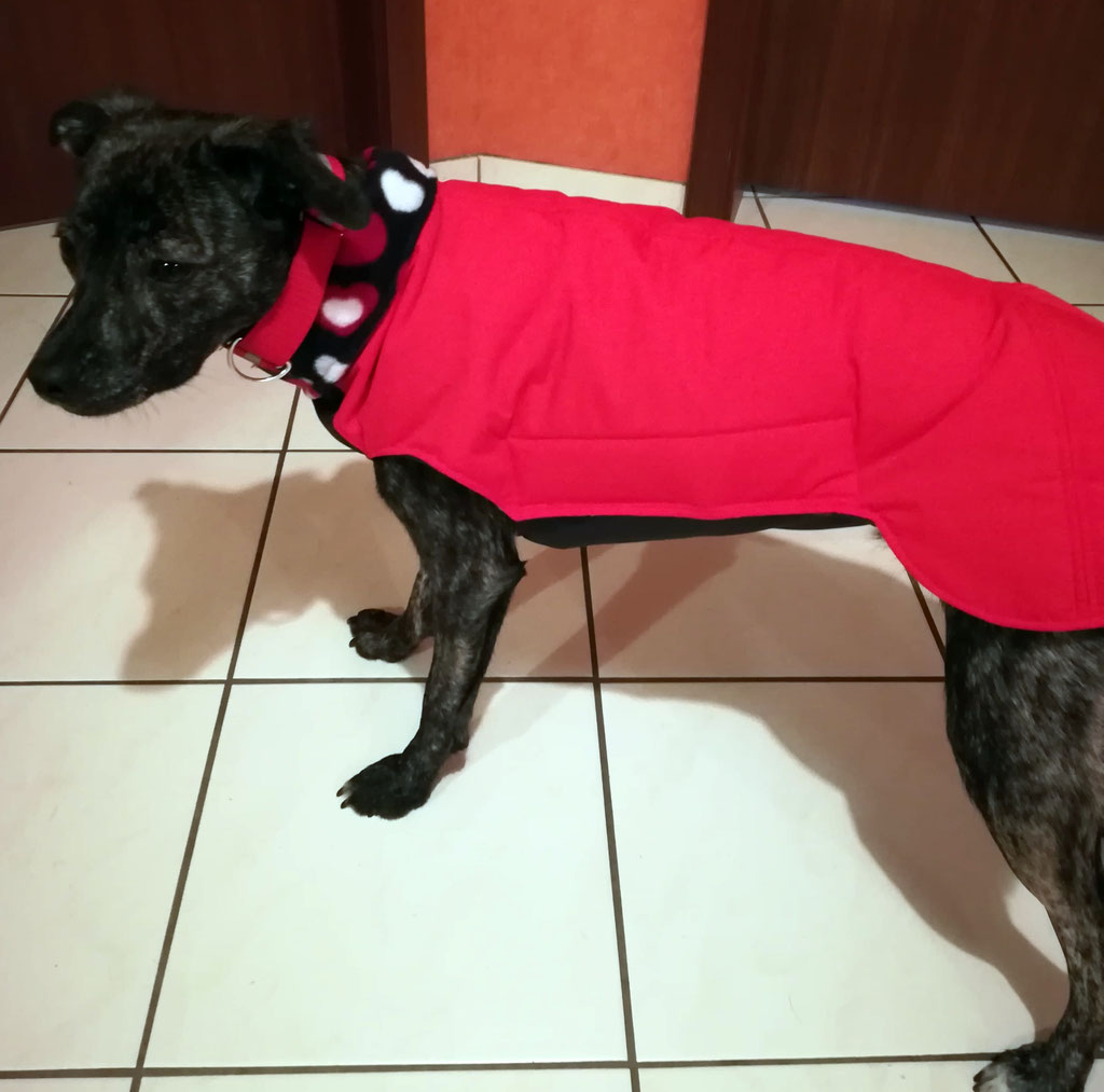 Hundemantel Maßanfertigung