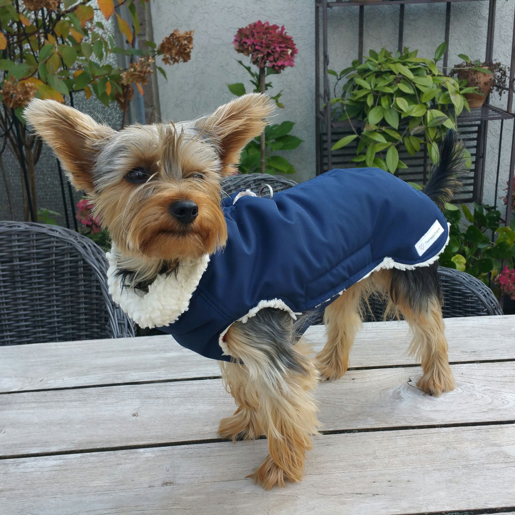 Thermo-Hundemantel, Hundemantel Maßanfertigung Chihuahua, Hundemantel nach Maß Chihuahua