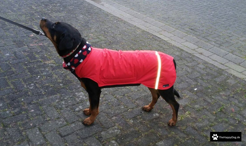 Thermo-Hundemantel, Hundemantel Maßanfertigung,  Hundemantel nach Maß