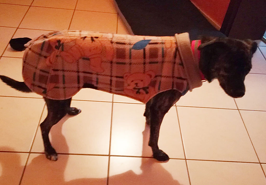 Hundemantel Fleece Maßanfertigung