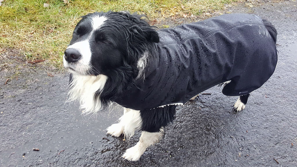 Hund Wintermantel wasserfest