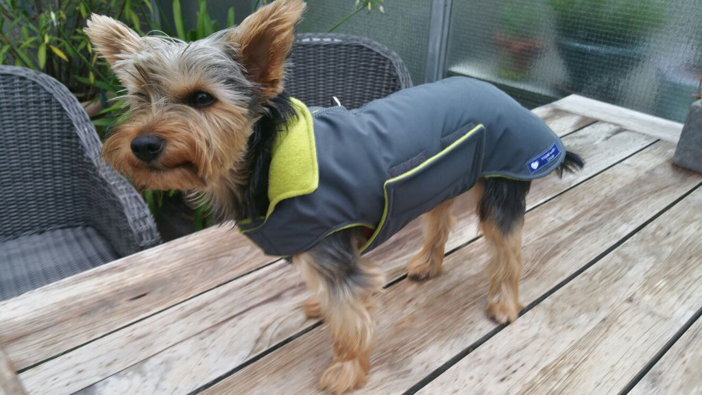 Thermo-Hundemantel, Hundemantel Maßanfertigung,  Hundemantel nach Maß