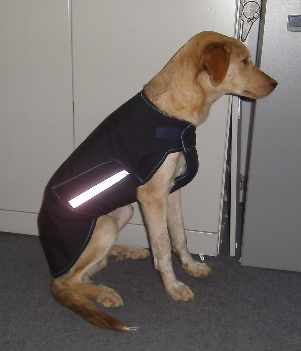 Thermo-Hundemantel, Hundemantel Maßanfertigung,  Hundemantel nach Maß