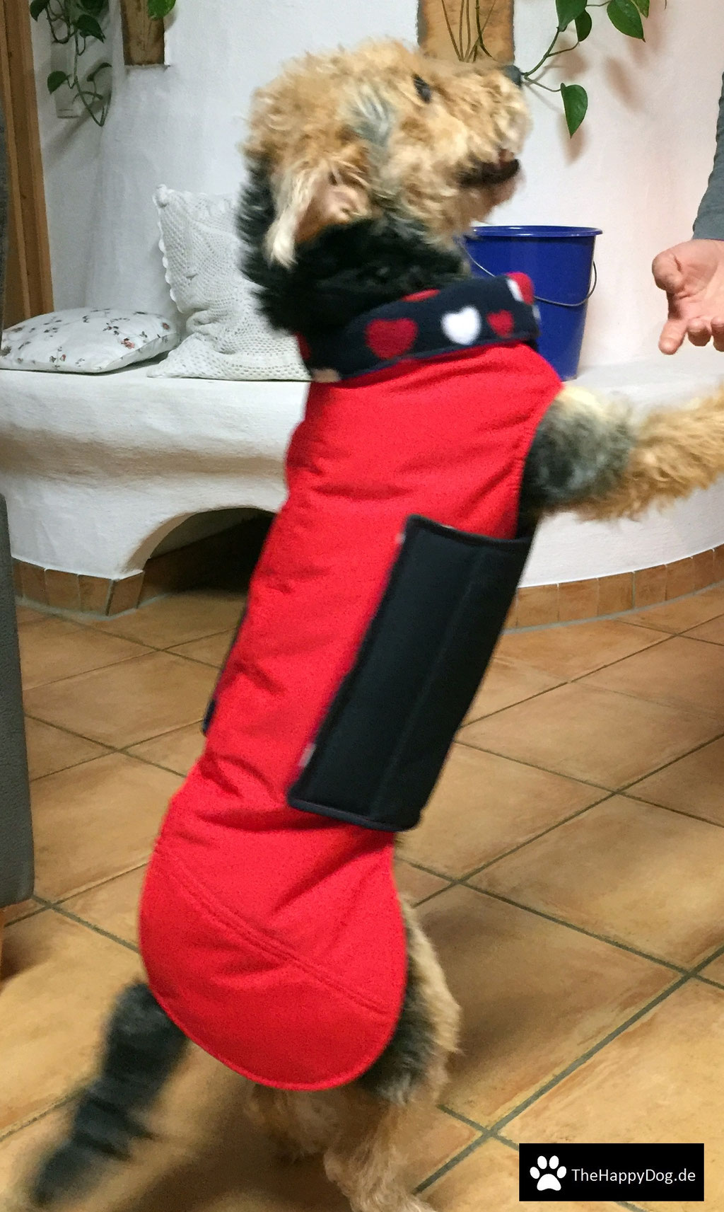 Thermo-Hundemantel, Hundemantel Maßanfertigung,  Hundemantel nach Maß