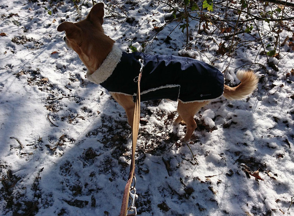 Hundemantel Maßanfertigung - Thermo-Hundemantel,  Hundemantel nach Maß