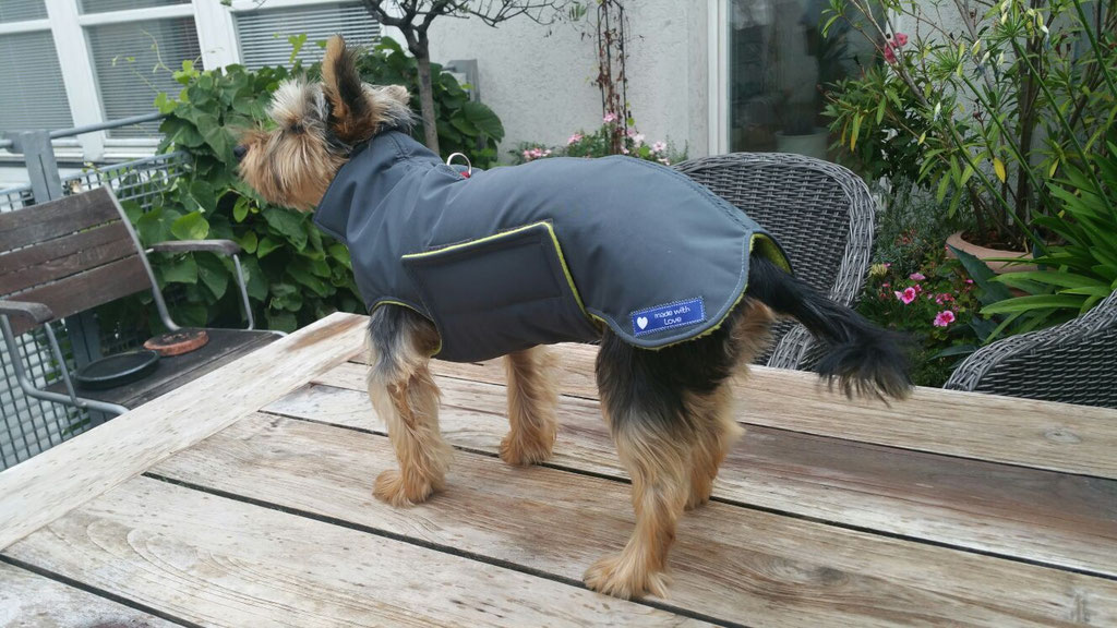 Thermo-Hundemantel, Hundemantel Maßanfertigung,  Hundemantel nach Maß