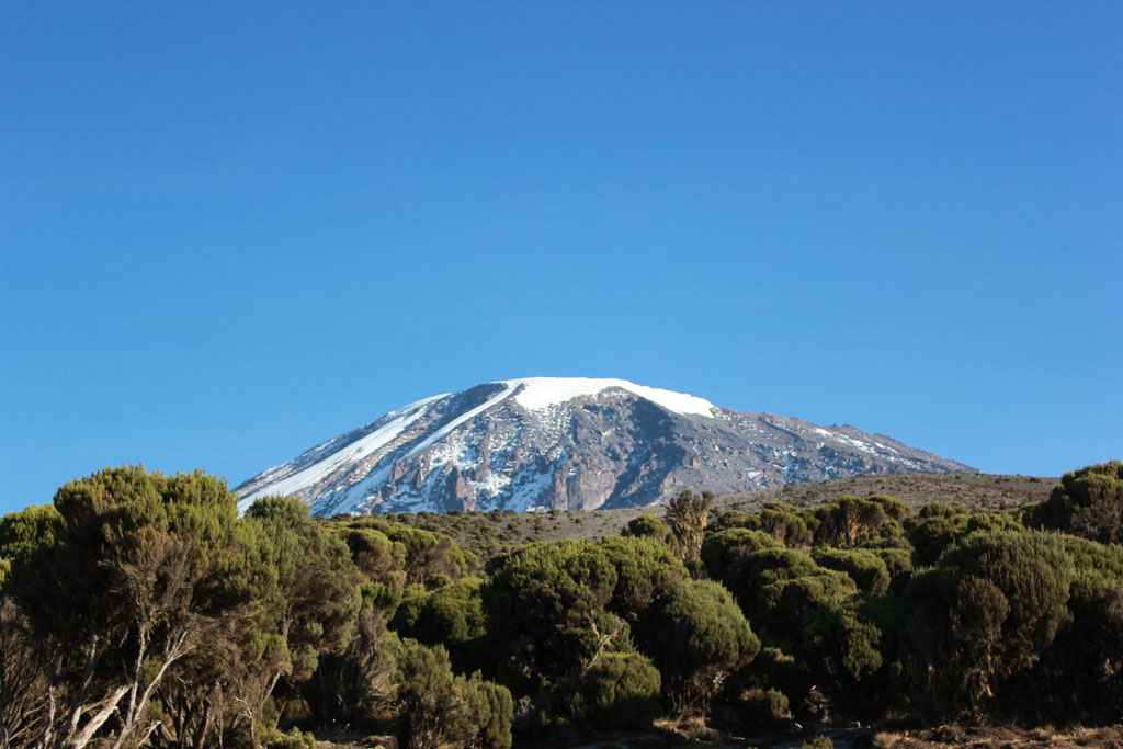 Kili From Mweka Camp - Kilimanjaro Company