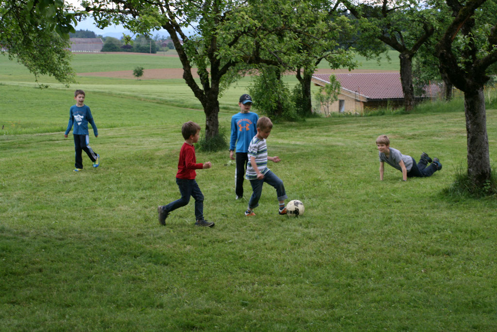 reichlich Platz zum Spielen