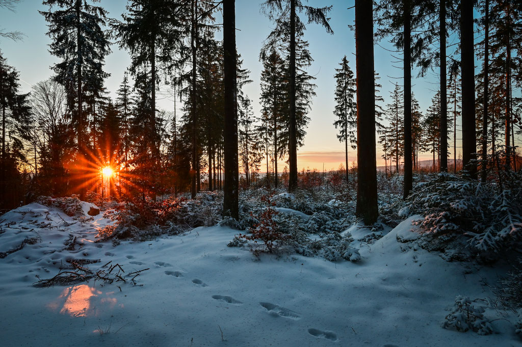 Winterstimmung im Fichtelgebirgswald, 20. Januar 2024
