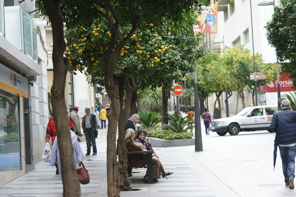 Fussgängerzone in Ceuta. Ueberall gibt es hier Orangenbäume