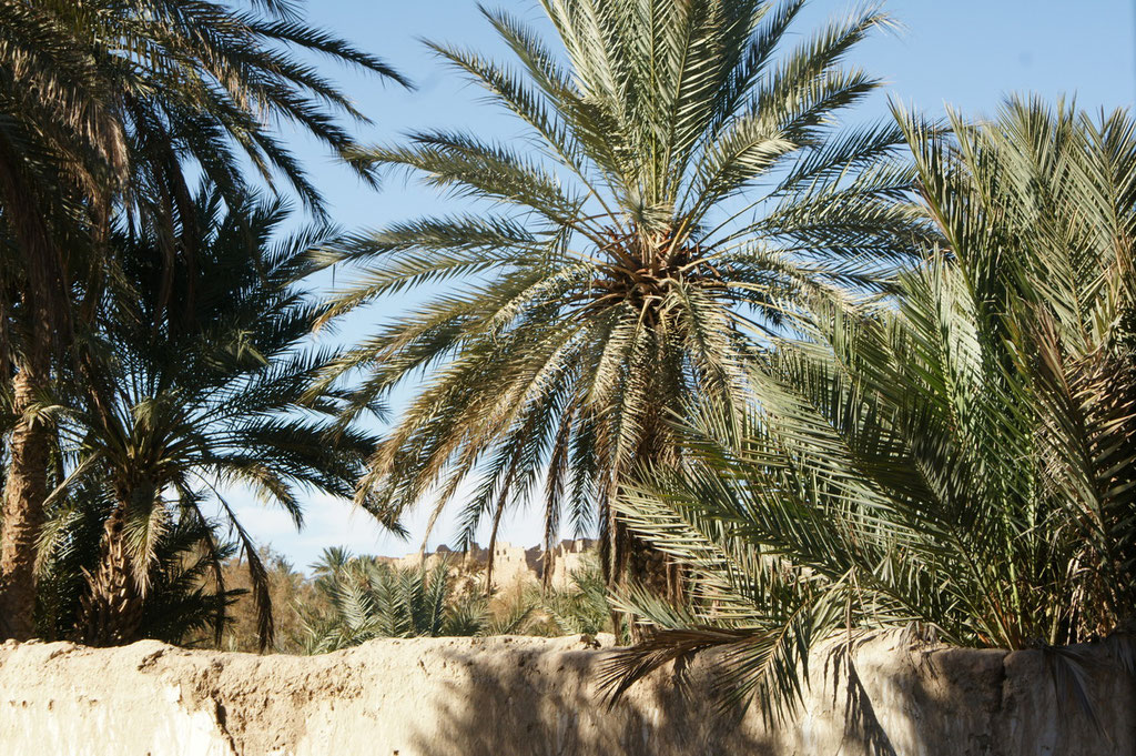 Blick auf die alte Kasbah