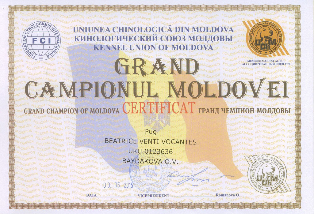 Гранд Чемпион Молдовы