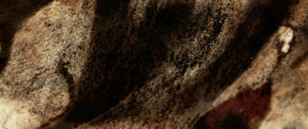 InTheBeginning#4© Christopher A. Oberdorfer