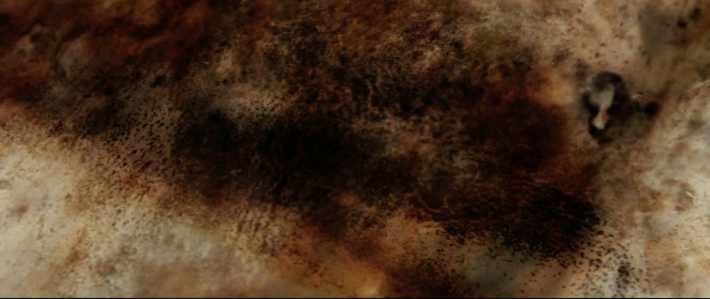 InTheBeginning#7© Christopher A. Oberdorfer