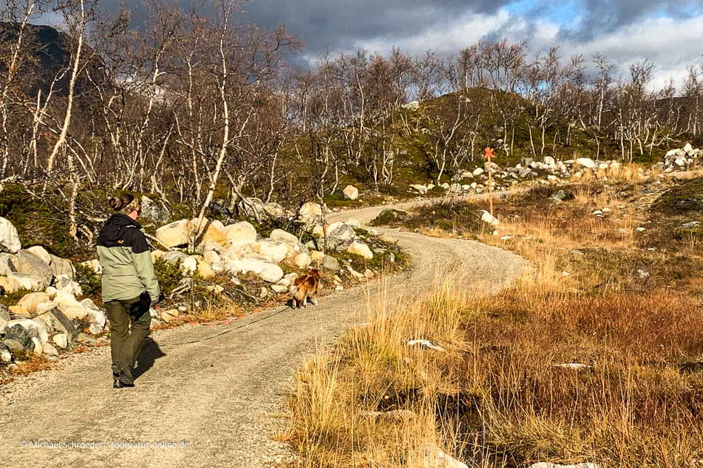 Vom Besucherzentrum führen gut ausgeschilderte Wege ins Fjell.