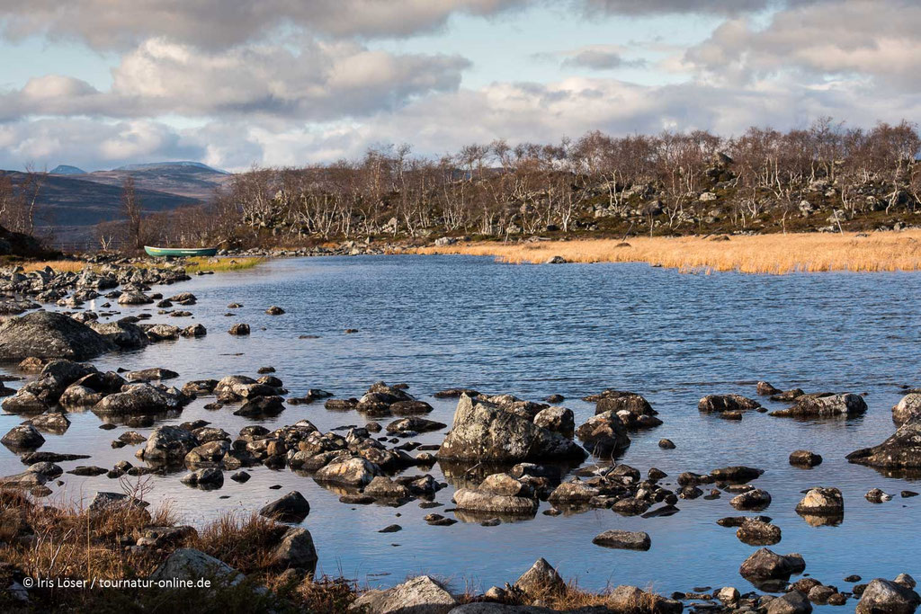 Am See über Kilpisjärvi ist der Herbst eingekehrt.