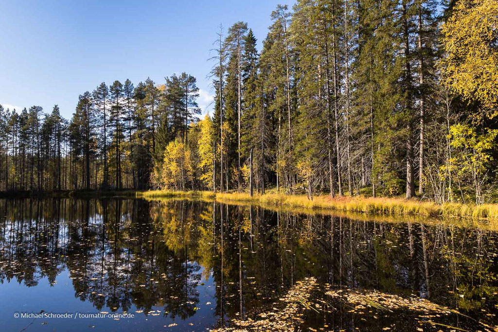Es wird Herbst im Freundschaftspark