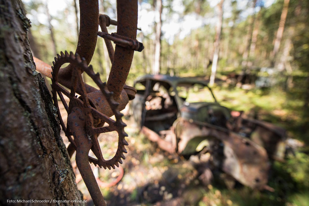 Autofriedhof im Kyrkö Mosse