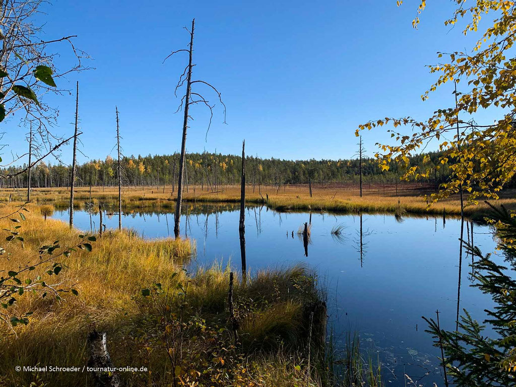 See im finnisch-russischen Friendship Park