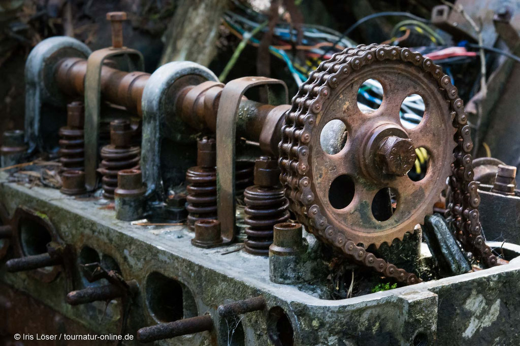 Autofriedhof im Kyrkö Mosse