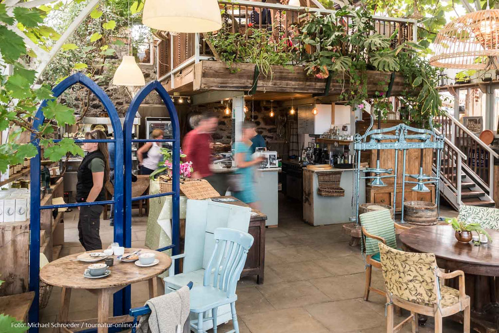 Bei Tobermory: Sgriob-ruadh Farm, Café in der Garden Barn 