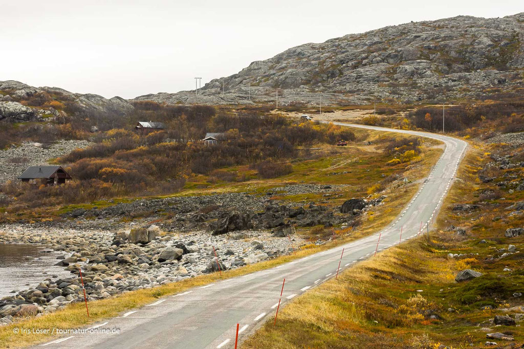 Entlang der Fv355 gen Osten