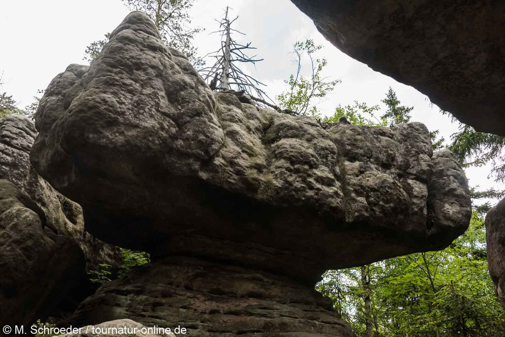 Im Felslabyrinth des Heuscheuergebirge
