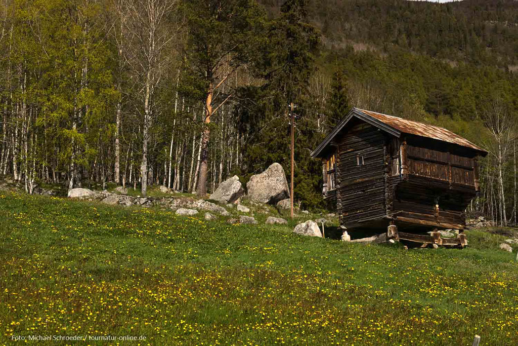 Die Speicher stehen erhöht, um das gelagerte Material vor Nagern zu schützen.