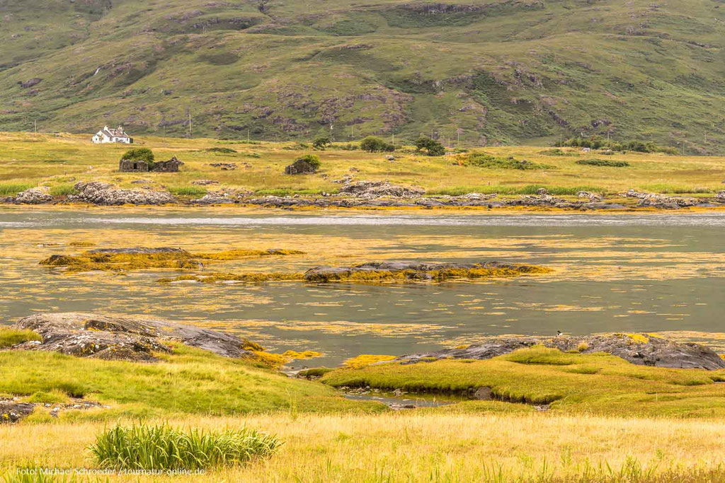 Isle of Mull - Innere Hebriden