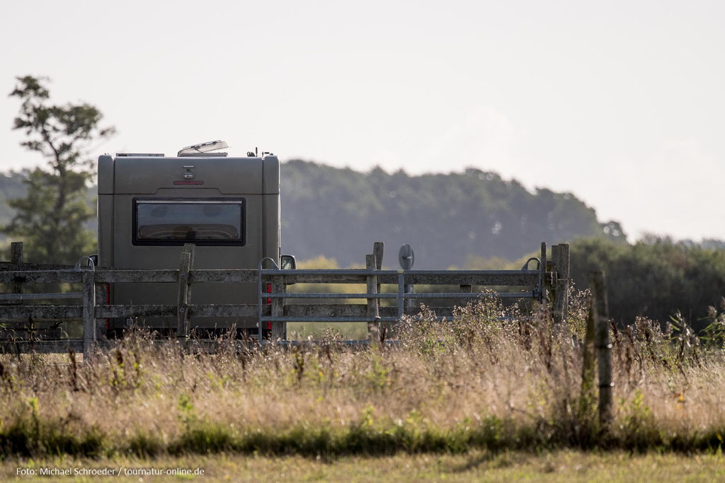 Stellplatz mitten im Nichts